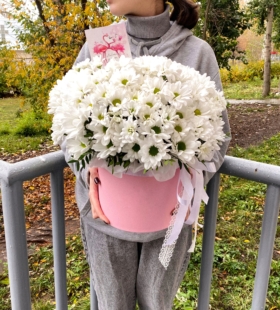 Большое ромашковое поле.